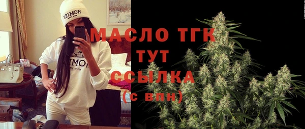 2c-b Снежногорск