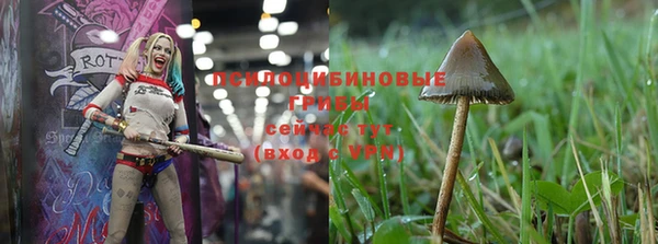 a pvp Баксан