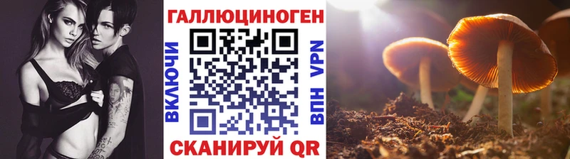 Псилоцибиновые грибы MAGIC MUSHROOMS  Беслан 