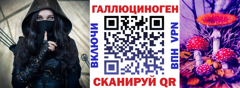 Галлюциногенные грибы Cubensis Беслан